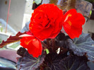 DSC06351