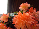 DSC06370
