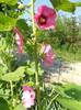 DSCN3719