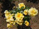 DSCN3728