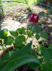 DSCN3748