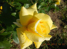DSCN3540