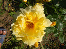 DSCN3541