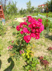DSCN3651