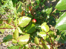 DSCN3695