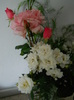 DSCN4115