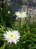 CIMG5805