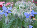 DSCN2794