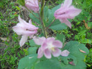 DSCN2830