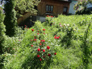 DSC03477