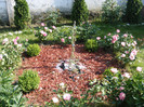 DSCF9204