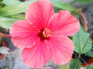 DSCN2833