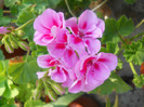 DSCN2835