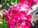 DSCN2838