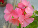 DSCN2840