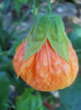 DSCN2842