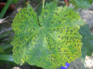 DSCN2843