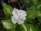 DSCN2846