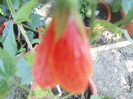 DSCN2847
