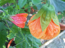DSCN2848