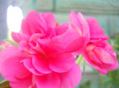 DSCN2850
