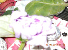 13.06.2012 060