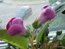 14.06.2012 109