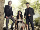 ian-somerhalder-nina-dobrev-paul-wesley-the-vampire-diaries