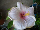 P1140660
