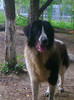Photo0676