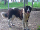 photo0681