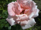 070620123680