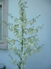 P1110631