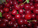 P1000716
