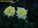 Landora