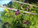 DSC05207