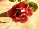 IMAG0011