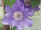 DSCF1543