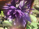 DSCF1606