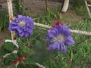 DSCF1713