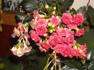 DSCN0224
