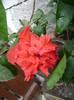 DSC08860
