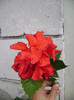 DSC08861