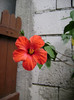 DSC08856
