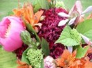 florile verii poza cu lalele-180157