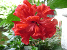 DSC08869
