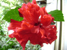 DSC08870