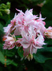 DSCN0573