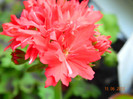 DSCN0567