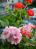 DSCN0576
